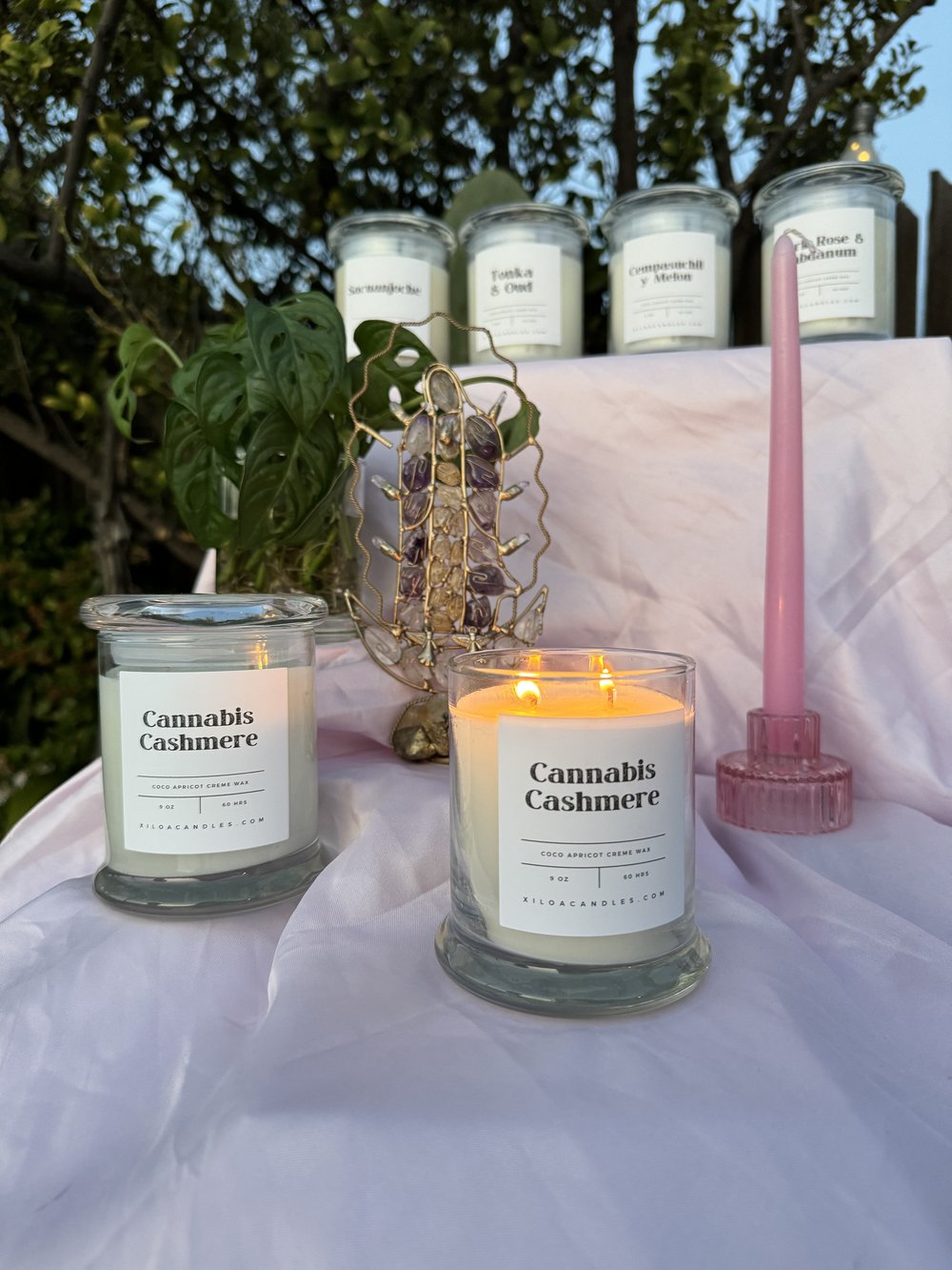 Cannabis Cashmere
