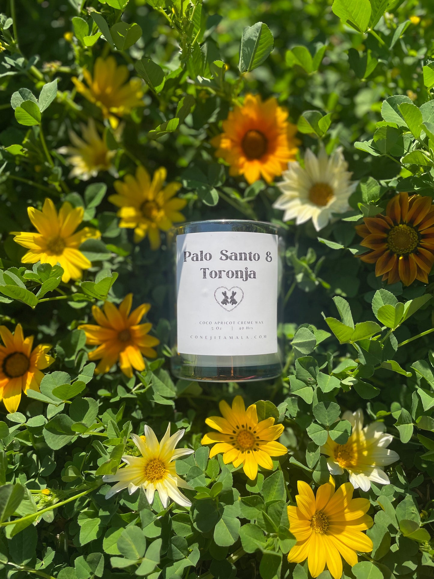 Palo Santo & Toronja